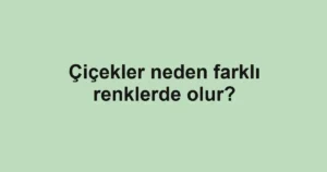 cicekler-neden-farkli-renklerde-olur